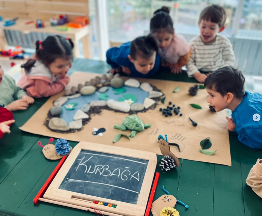 Kurbağa Gems çalışması 